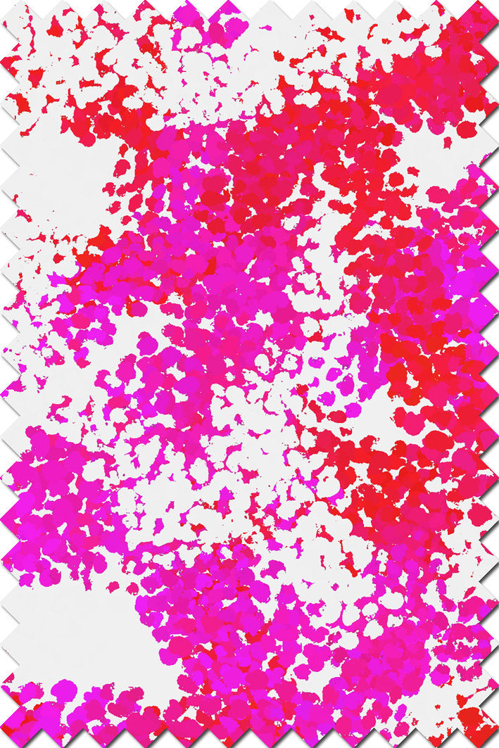 Shorts TANGIER 2568-2